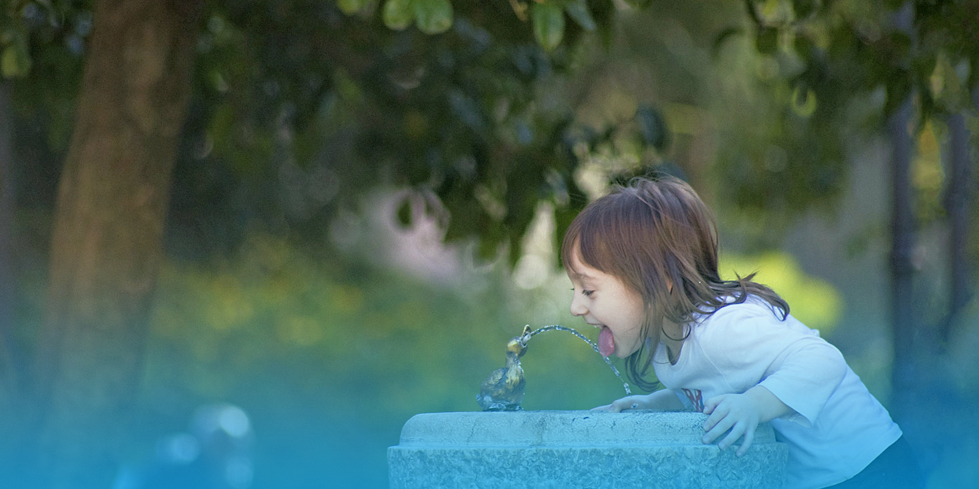 柯淇环境技术（宁波）有限公司